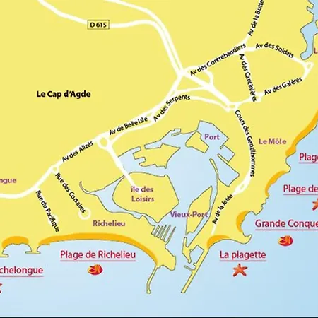 Renove Avec Clim, Parking, Piscine—proche Commerces, Et Port Au Cap D'agde - Fr-1-749-6 *